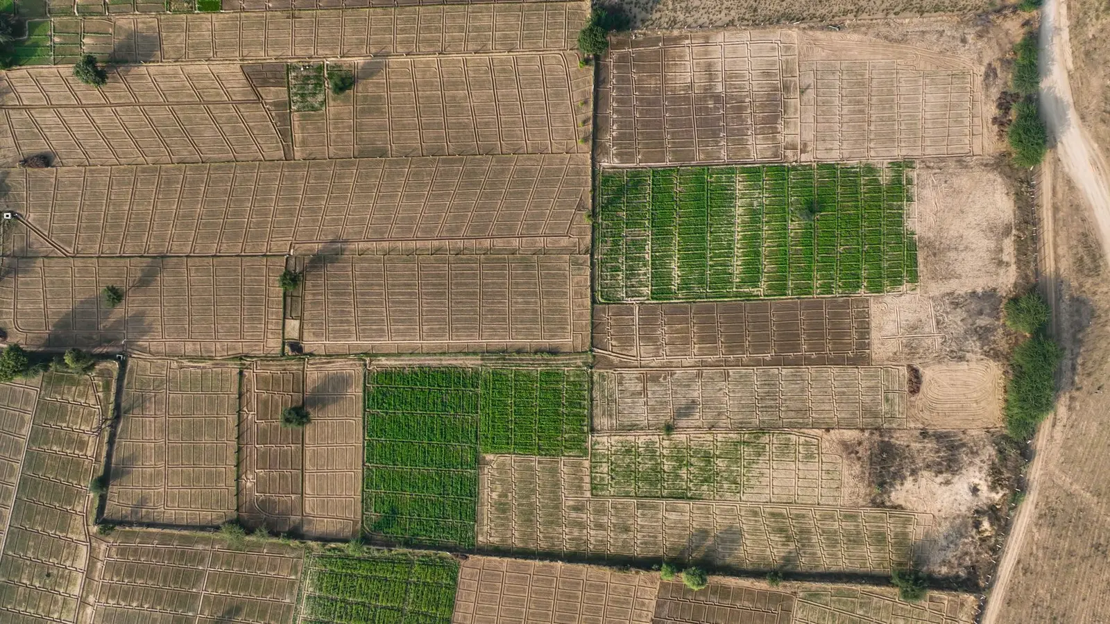 Prabandh Nagar — LDA Resurrects Prabandh Nagar Yojana After Decades of Land Dispute; Farmer Compensation Deal Unlocks 2,100-Acre Township