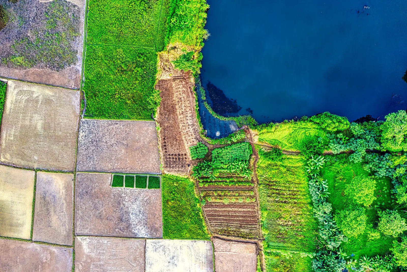 Meerut New Township (Mohiuddinpur) — MEDA Completes 150-Hectare Land Purchase for Rs 1,086 Crore in Mohiuddinpur Integrated Township
