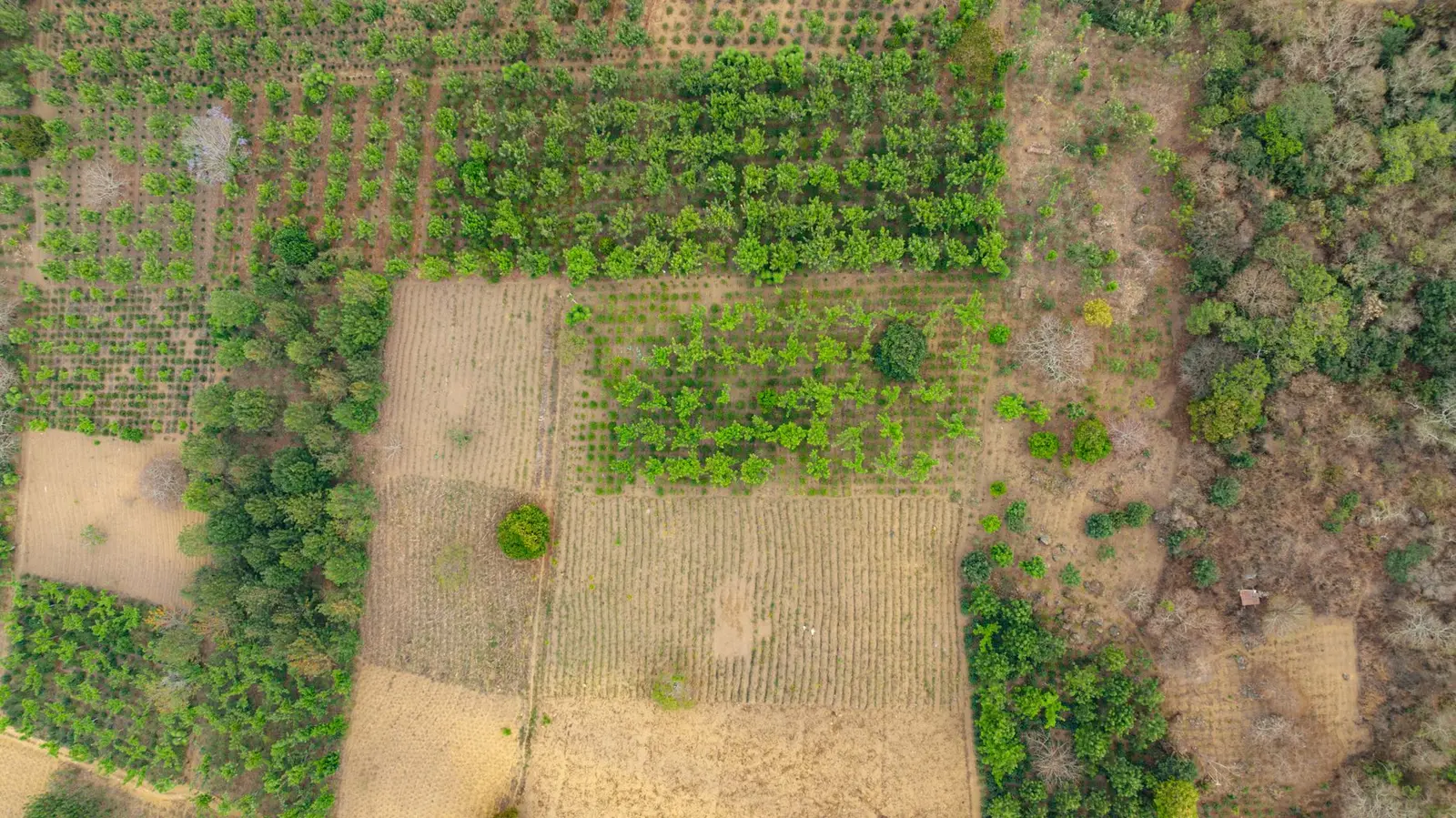 Naimish Nagar Yojna — Naimish Nagar Yojna: Land Acquisition, Compensation and Current Status