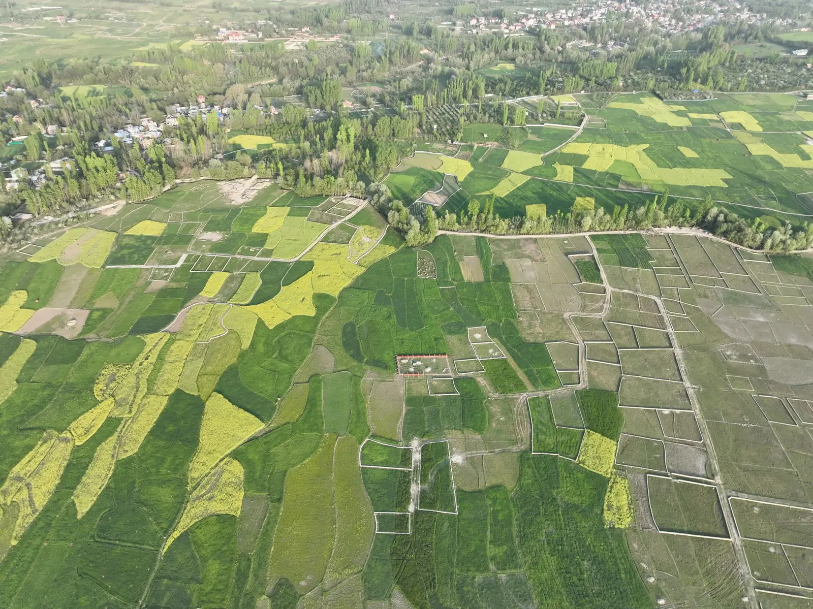 Tappal-Bajna Urban Centre — Tappal-Bajna Urban Centre: Land Acquisition, Compensation and Current Status
