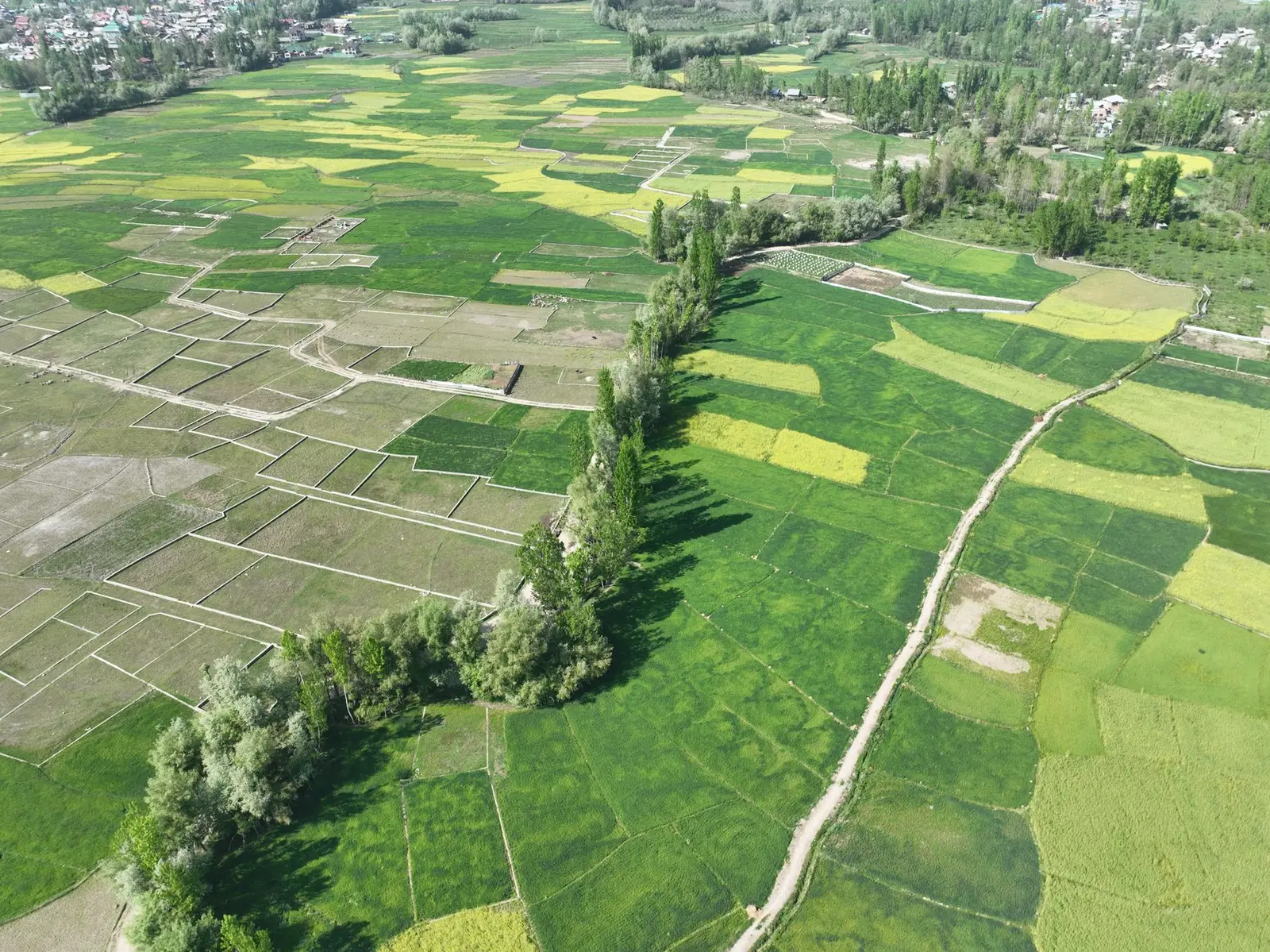 Eco City-3, New Chandigarh — Eco City-3 Land Acquisition in New Chandigarh