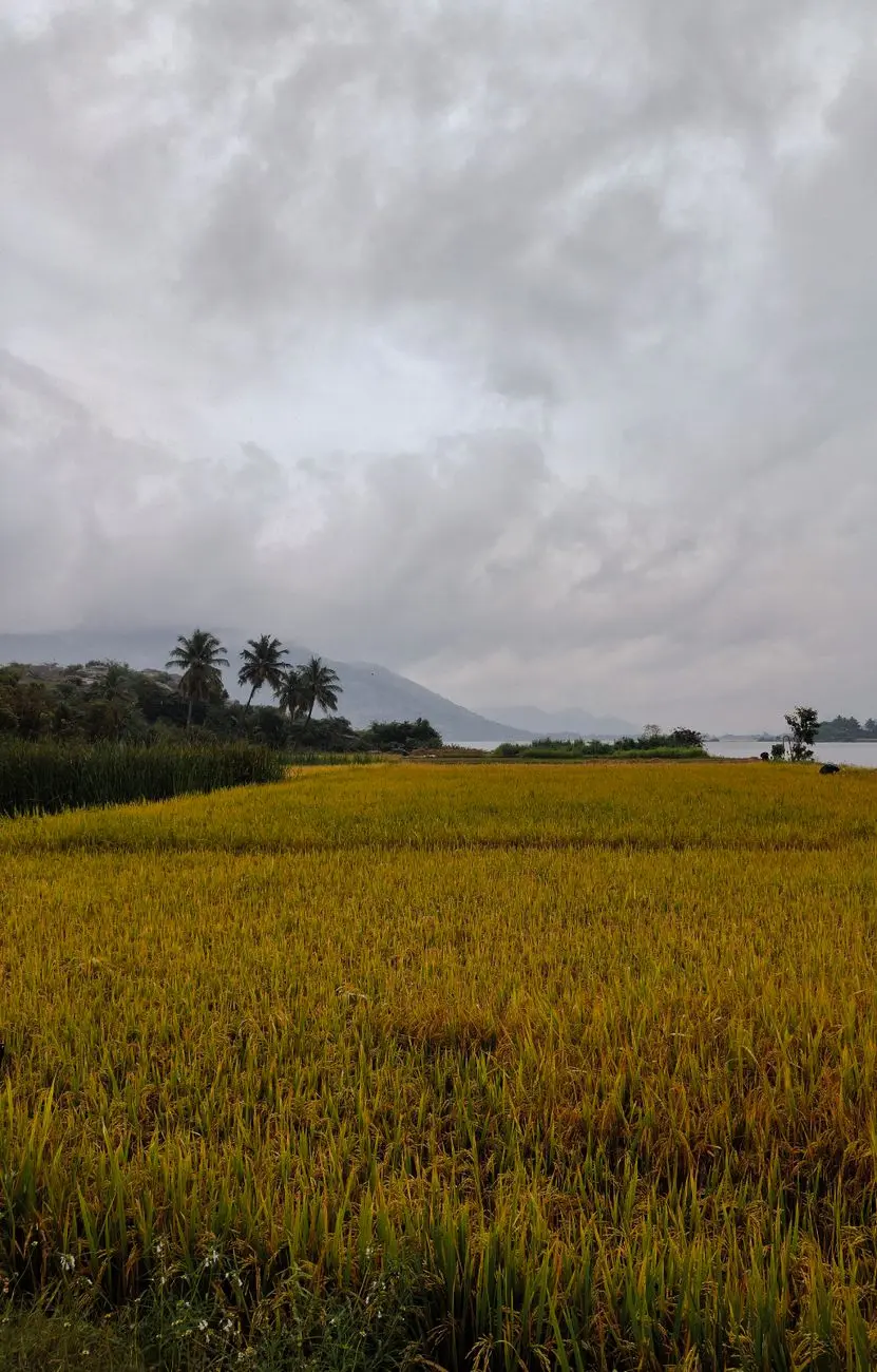 University Township — University Township (YEIDA Sector 14): Land Acquisition Status