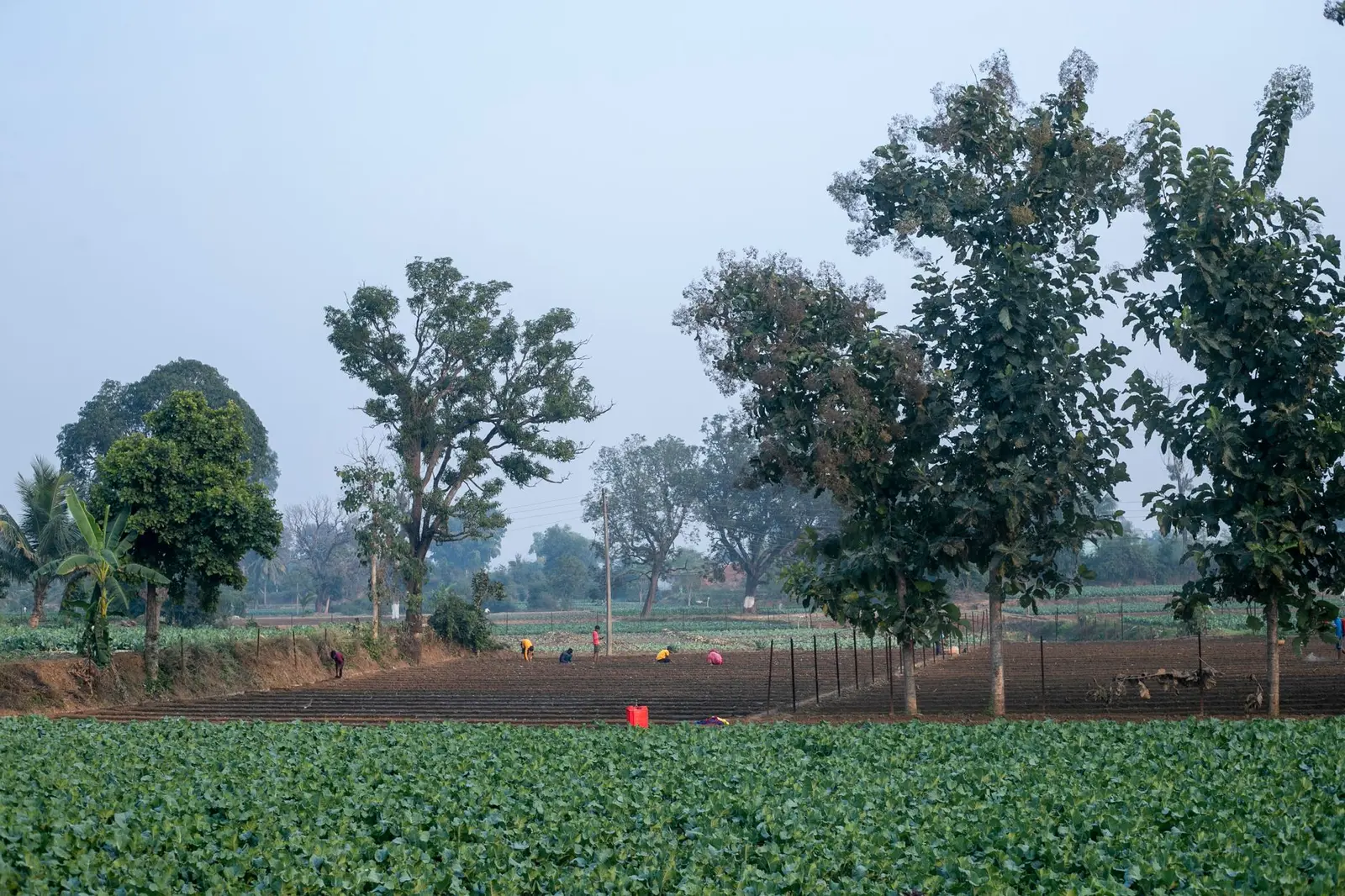 New Yamuna City — New Yamuna City (YEIDA) Land Acquisition: Model, Rates, Villages and Current Status