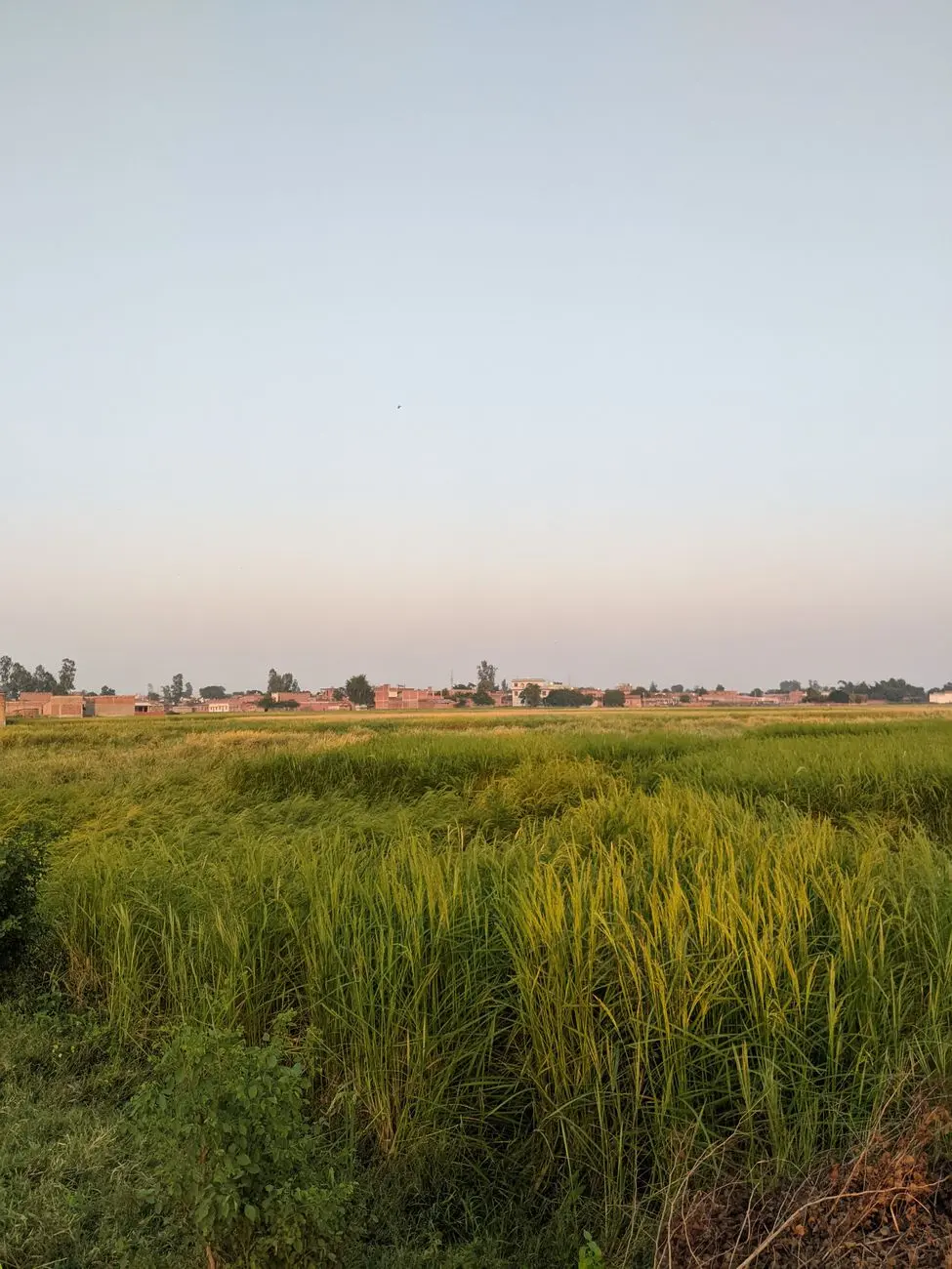 Prabandh Nagar — Prabandh Nagar Land Acquisition: Model, Rates, Villages and Current Stage