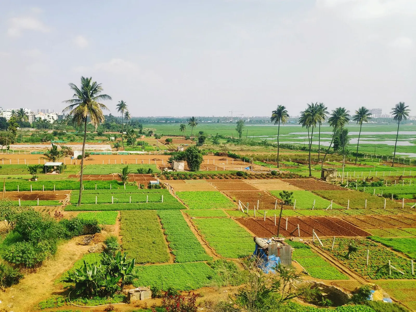 LDA Wellness City (Sultanpur Road) — LDA Wellness City (Sultanpur Road) — Land Acquisition Status