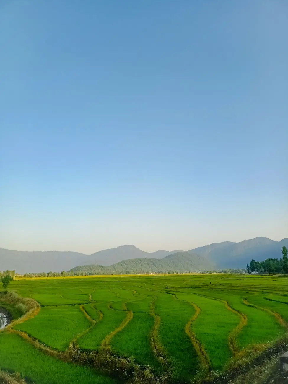 Him Panchkula — Him Panchkula (Himachal Pradesh Sirmaur New City): Land Acquisition Status