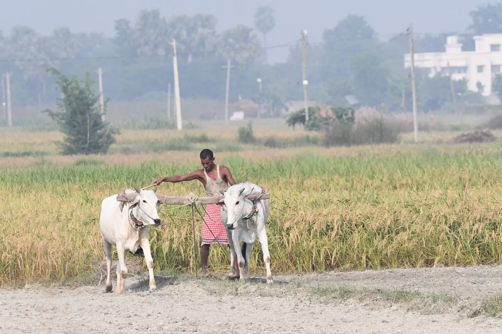 Mountain City (Jubbarhatti Township) — Mountain City (Jubbarhatti Township) — Land Acquisition Status