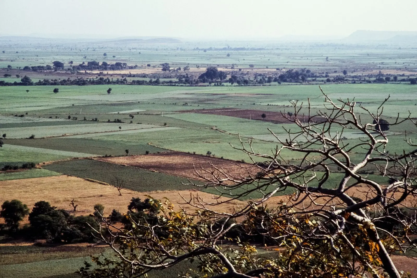 New Agra Urban Centre — New Agra Urban Centre: Land Acquisition Model, Villages, Compensation and Current Stage