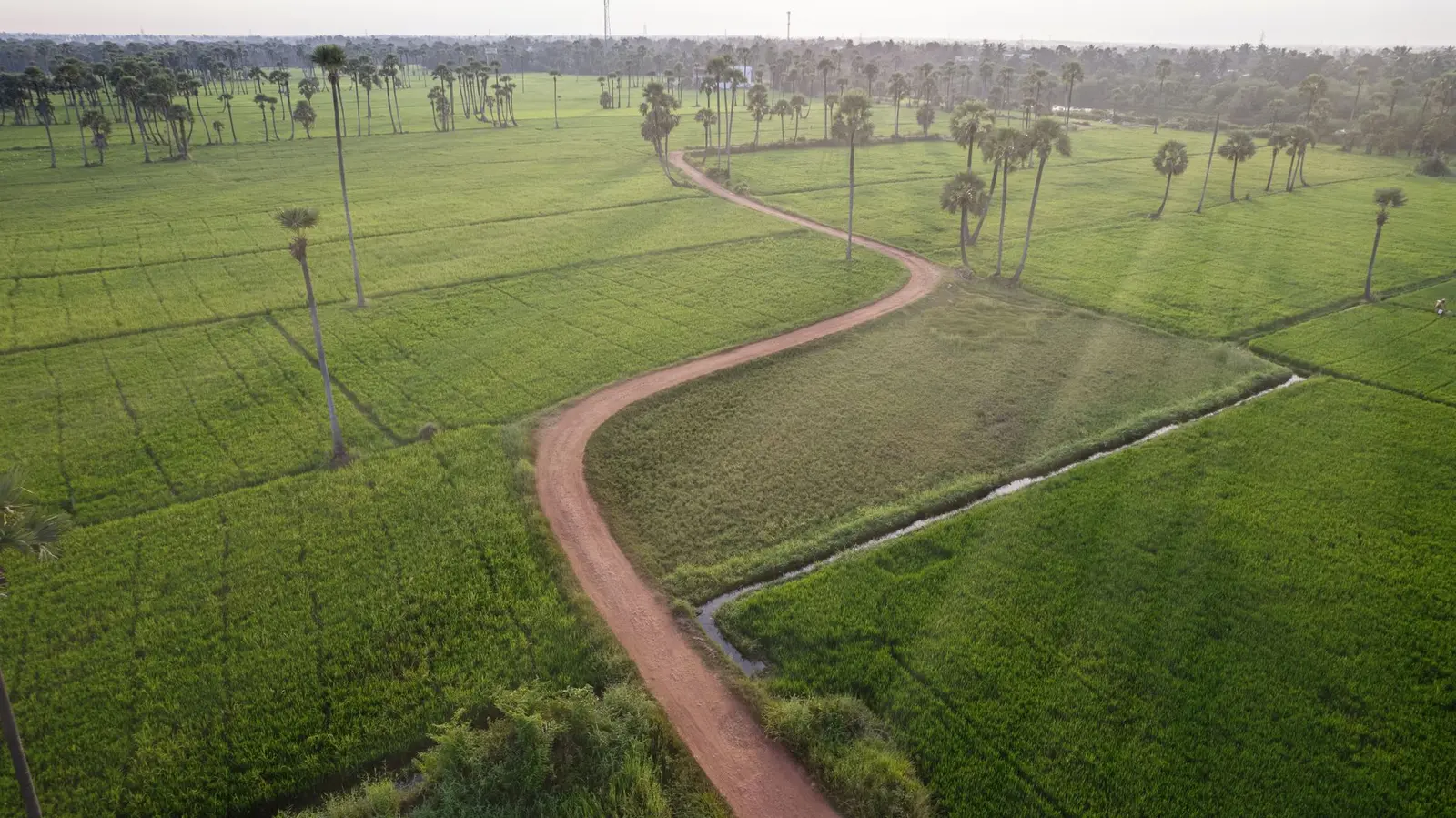Dholera SIR — Dholera SIR Land Acquisition: Model, Villages, Compensation and Current Status