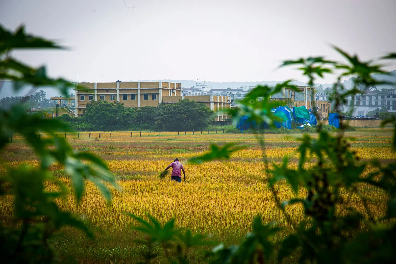 Namo City — Namo City Land Acquisition: Consent-Based Procurement in Haryana