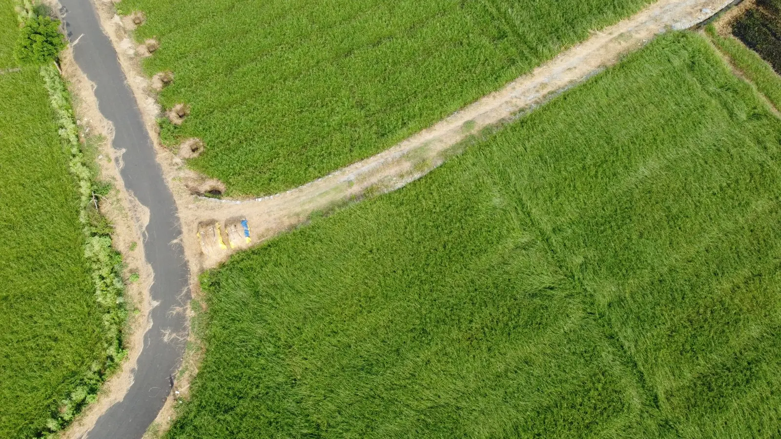 Palakkad Industrial Smart City — Palakkad Industrial Smart City: Land Acquisition Status, Compensation and Village Coverage